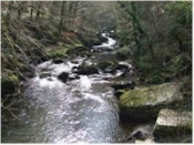 Cascading rivers